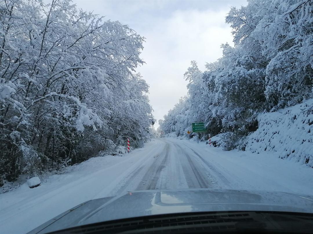 Entorno invernal en la Cordillera de Nahuelbuta