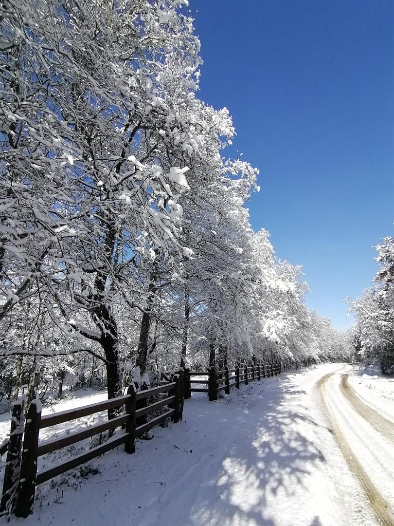 Parcela con nieve y vista a la cordillera en invierno