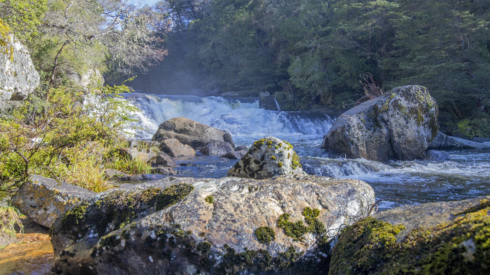 Parcelas en Angol junto al Parque Nacional Nahuelbuta