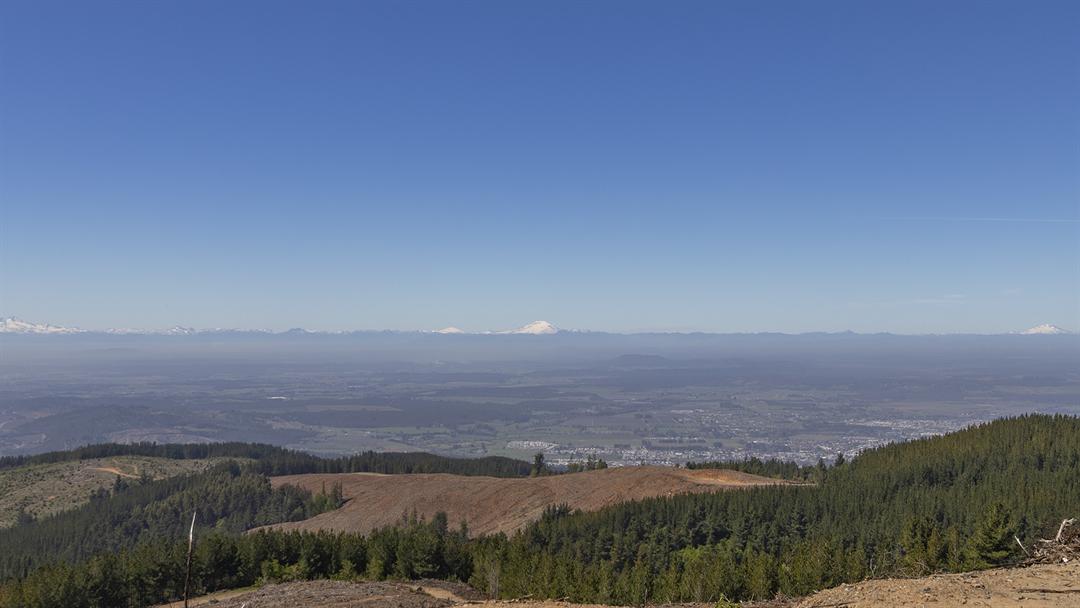 Terreno de 5.000 m² con vista a la Cordillera de Nahuelbuta